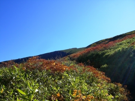 永山岳の登山道　頂上は見えない　1100.JPG